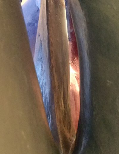 c spiral 2 - image 4